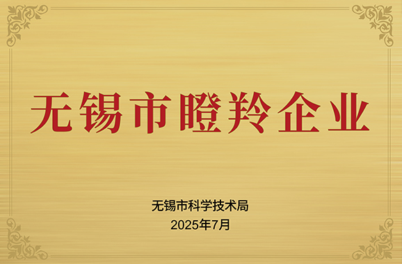 LEES Power Recognized as : 2024 Wuxi Gazelle Enterprise